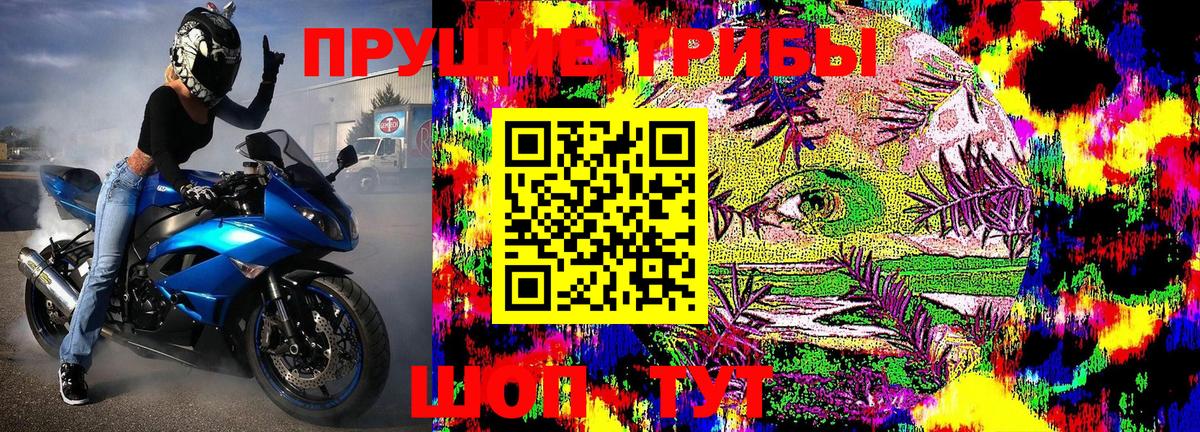 Галлюциногенные грибы MAGIC MUSHROOMS Лиски